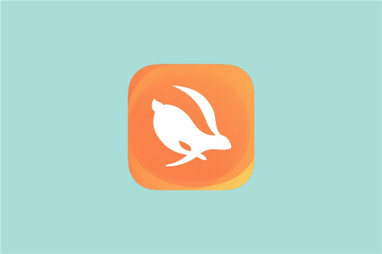 Скачать turbo vpn на пк